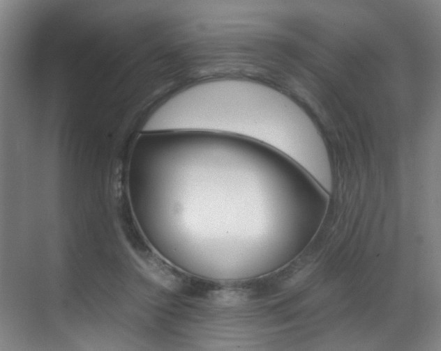 X0000070410356200606091001