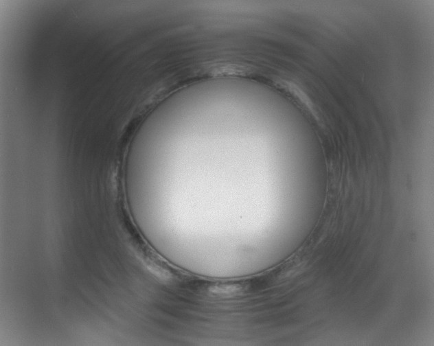 X0000070410357200606091001