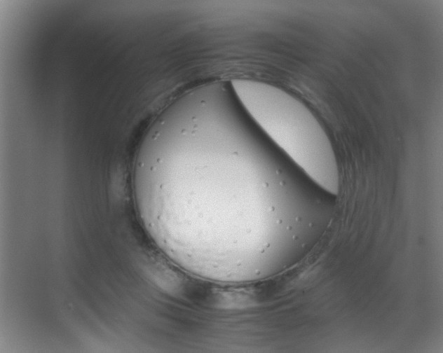 X0000070410359200606091001