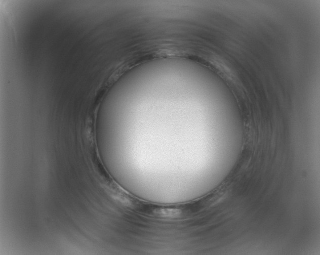 X0000070410361200606091001