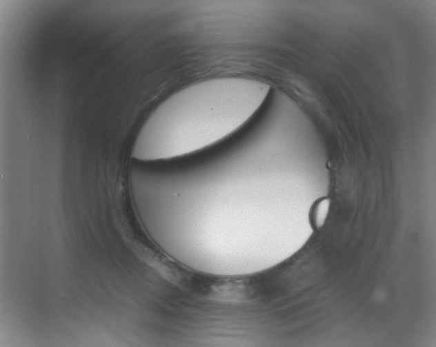 X0000070410362200606091001