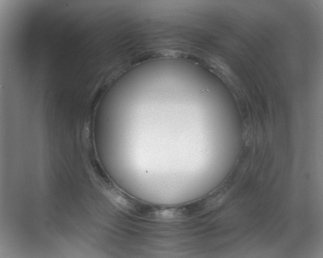 X0000070410365200606091001