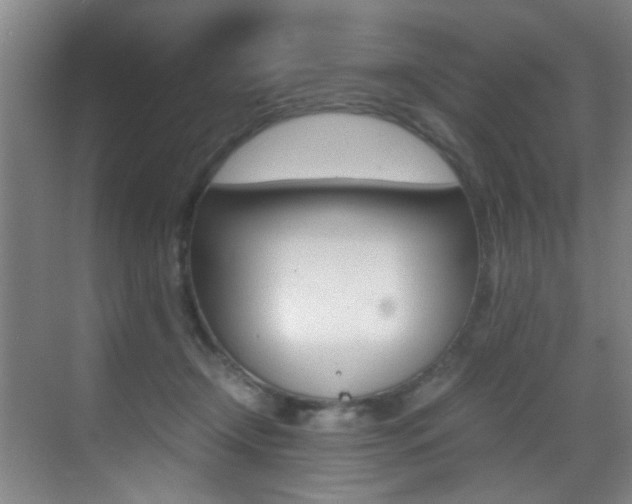 X0000070410366200606091001