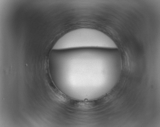 X0000070410367200606091001