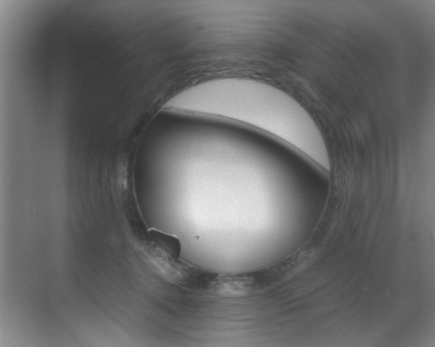 X0000070410368200606091001