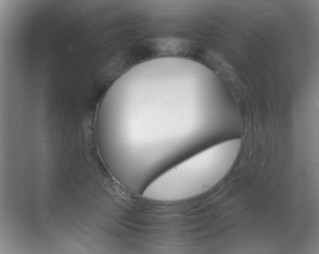 X0000070410369200606091001