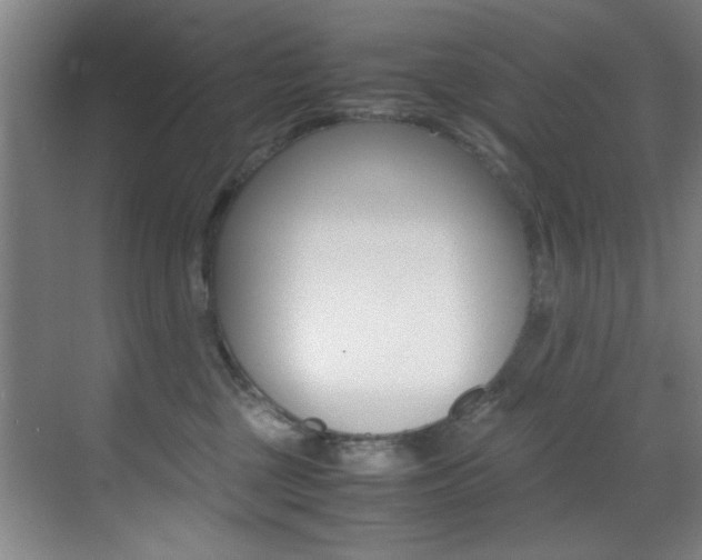 X0000070410377200606091002