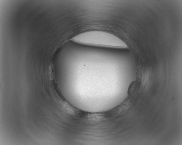 X0000070410378200606091002