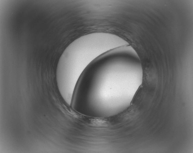 X0000070410380200606091002