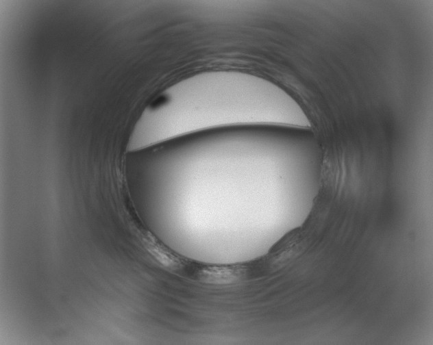 X0000070410381200606091002