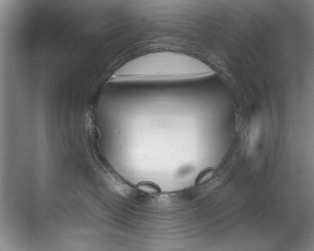 X0000070410382200606091002