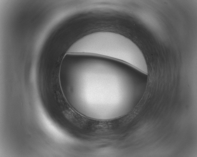 X0000070410383200606091002