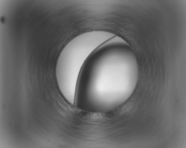 X0000070410384200606091002