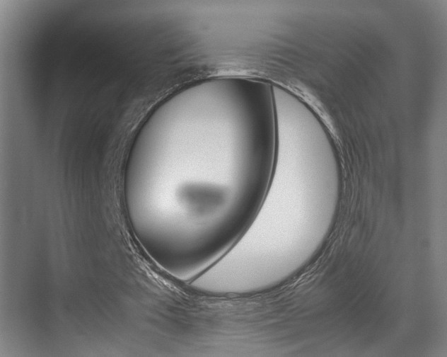 X0000070410385200606091001