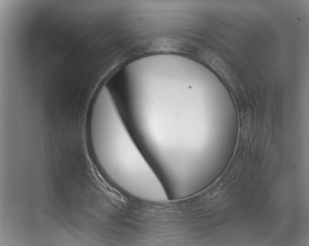 X0000070410386200606091001