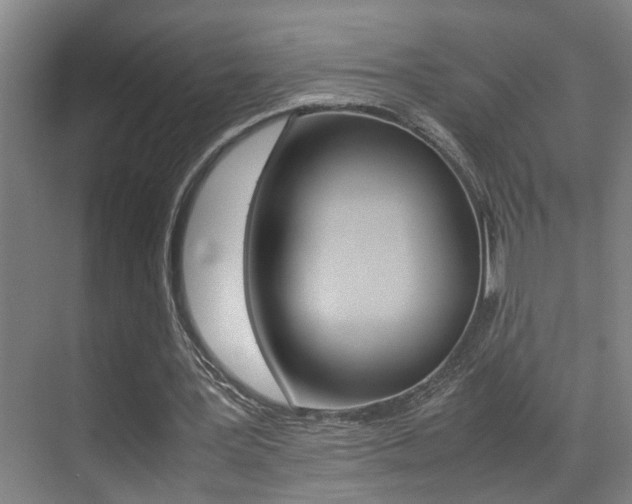 X0000070410387200606091001