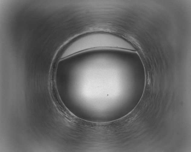 X0000070410388200606091001