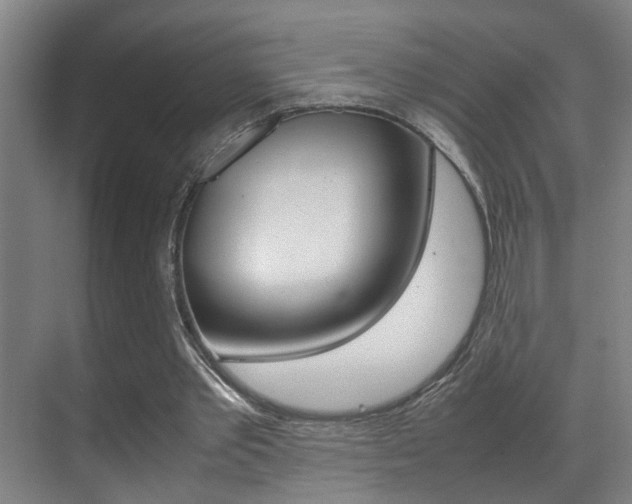 X0000070410389200606091001