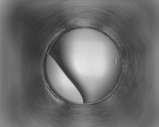 X0000070410390200606091001