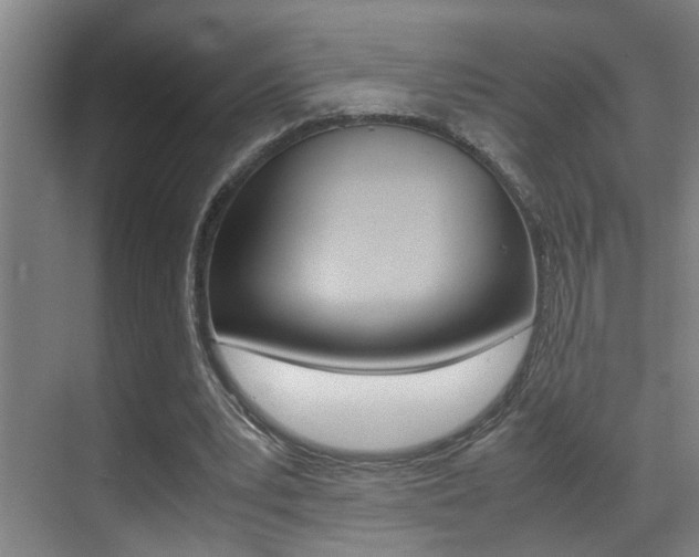 X0000070410391200606091001