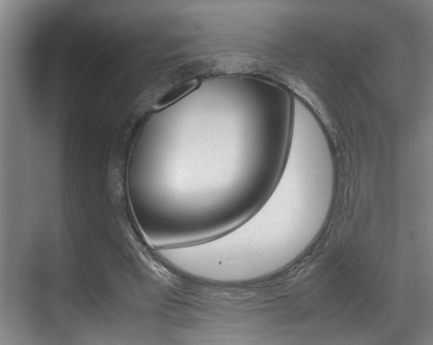 X0000070410393200606091001