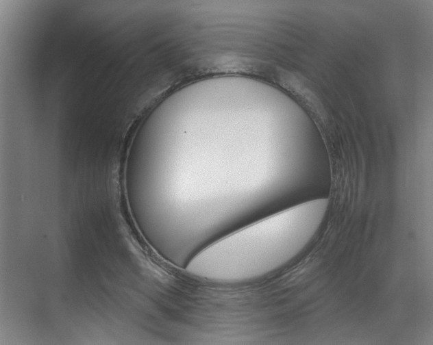 X0000070410394200606091001