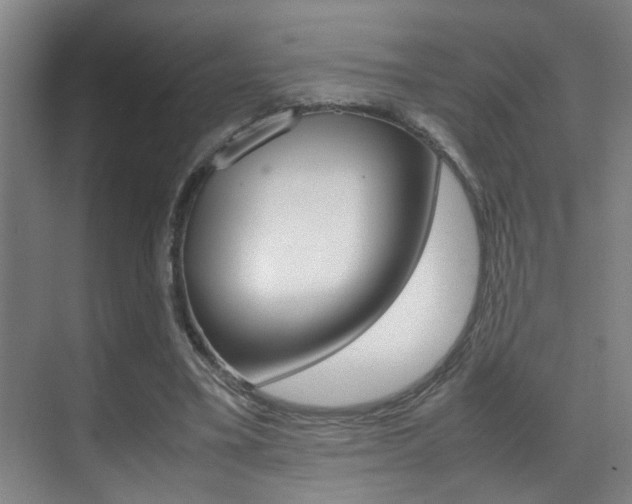 X0000070410395200606091001