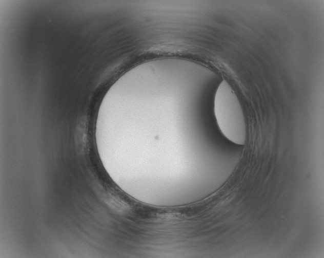 X0000070410396200606091001