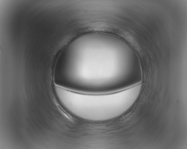 X0000070410397200606091001