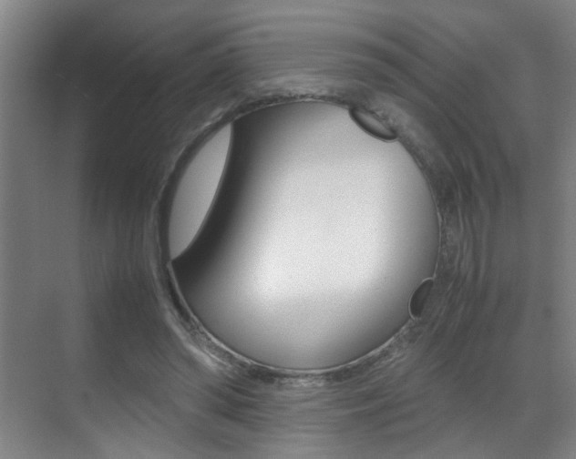 X0000070410398200606091001