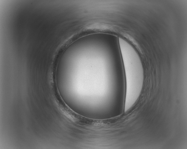 X0000070410399200606091001