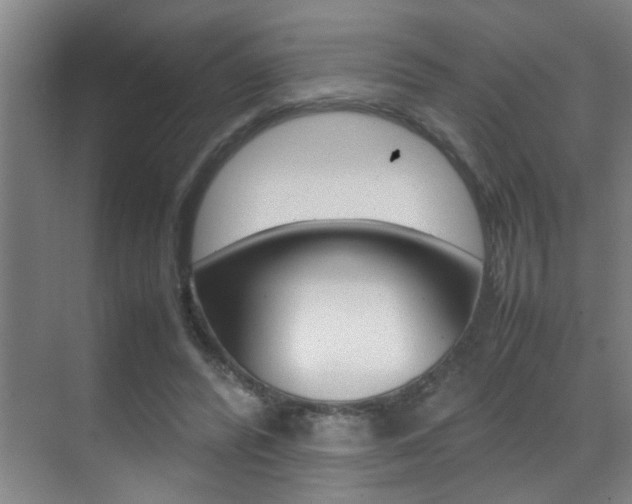 X0000070410400200606091001