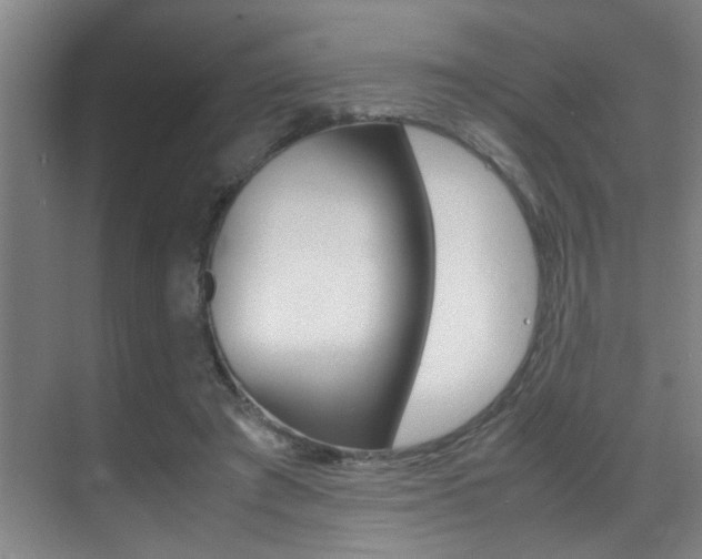 X0000070410401200606091001