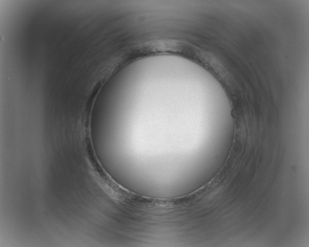 X0000070410402200606091001