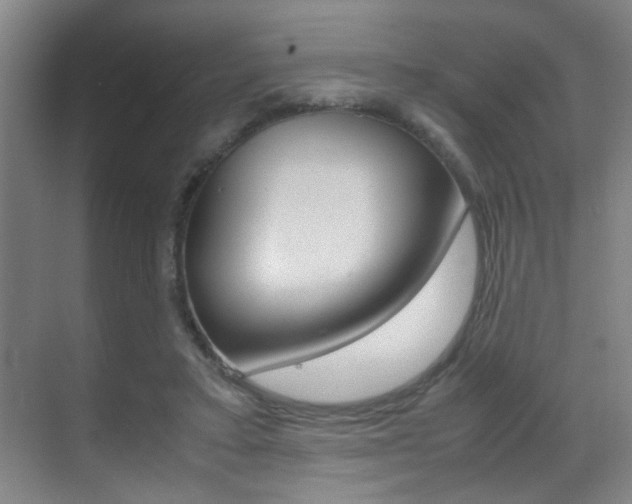 X0000070410403200606091001