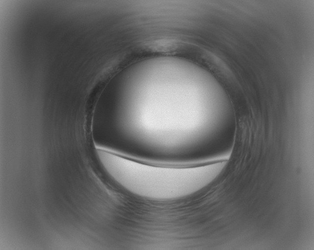 X0000070410404200606091001