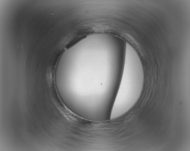 X0000070410405200606091001