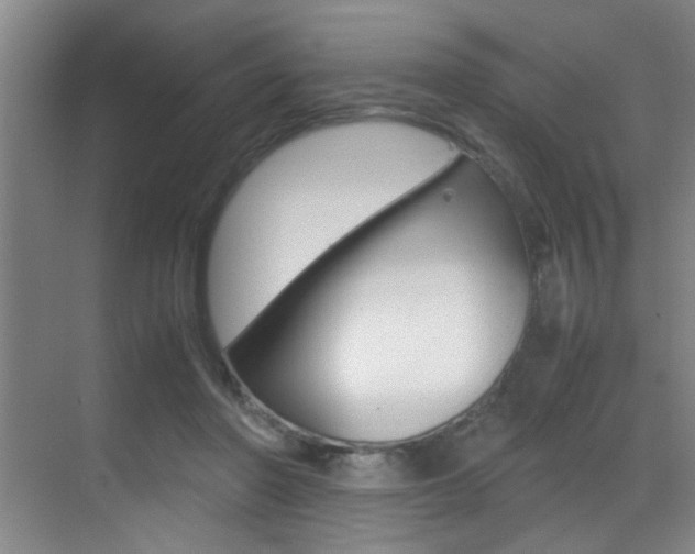 X0000070410406200606091001