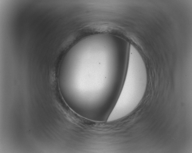 X0000070410407200606091001