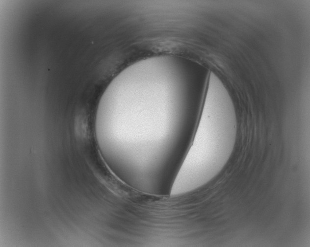 X0000070410408200606091001