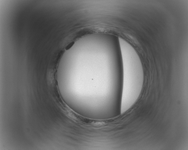 X0000070410409200606091001