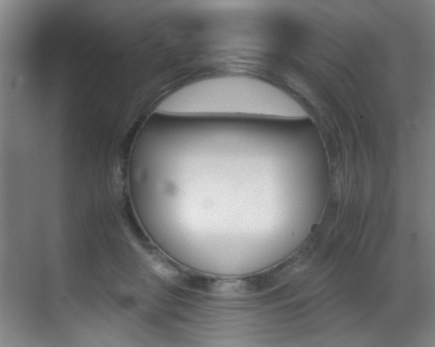 X0000070410410200606091000