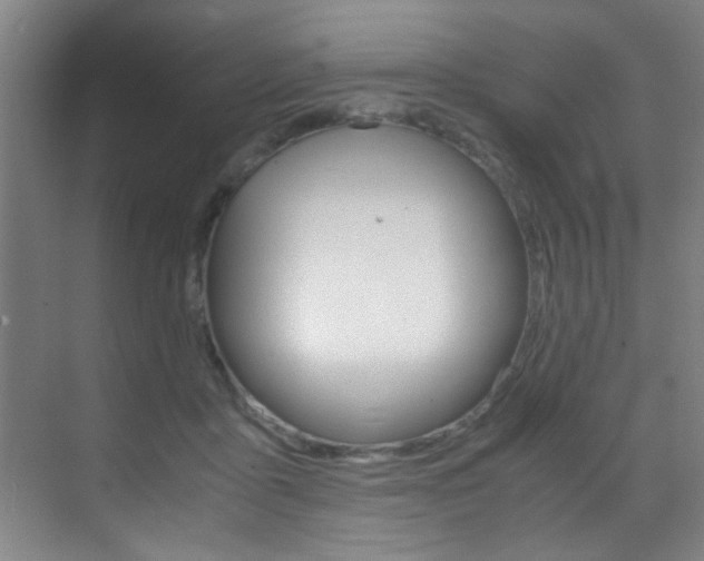 X0000070410411200606091000