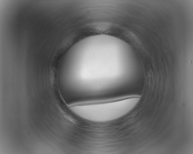 X0000070410412200606091000