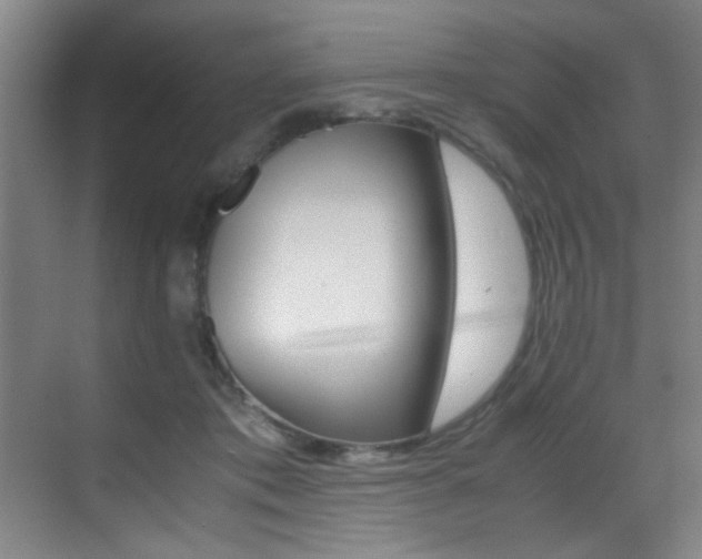 X0000070410413200606091000