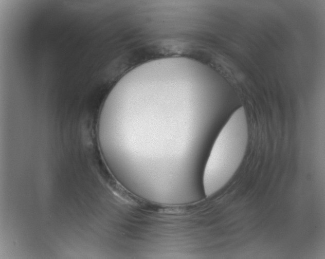 X0000070410414200606091000