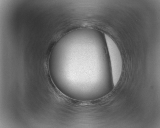 X0000070410415200606091000