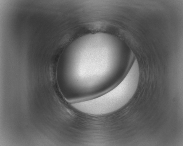 X0000070410416200606091000