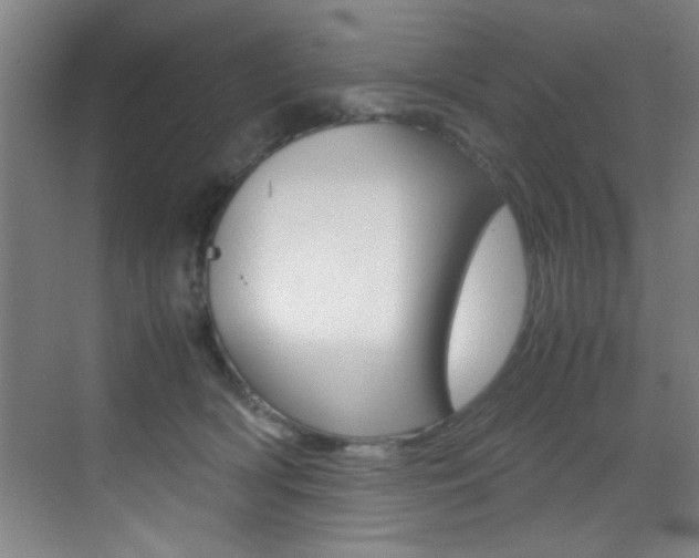 X0000070410418200606091000