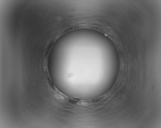 X0000070410419200606091000